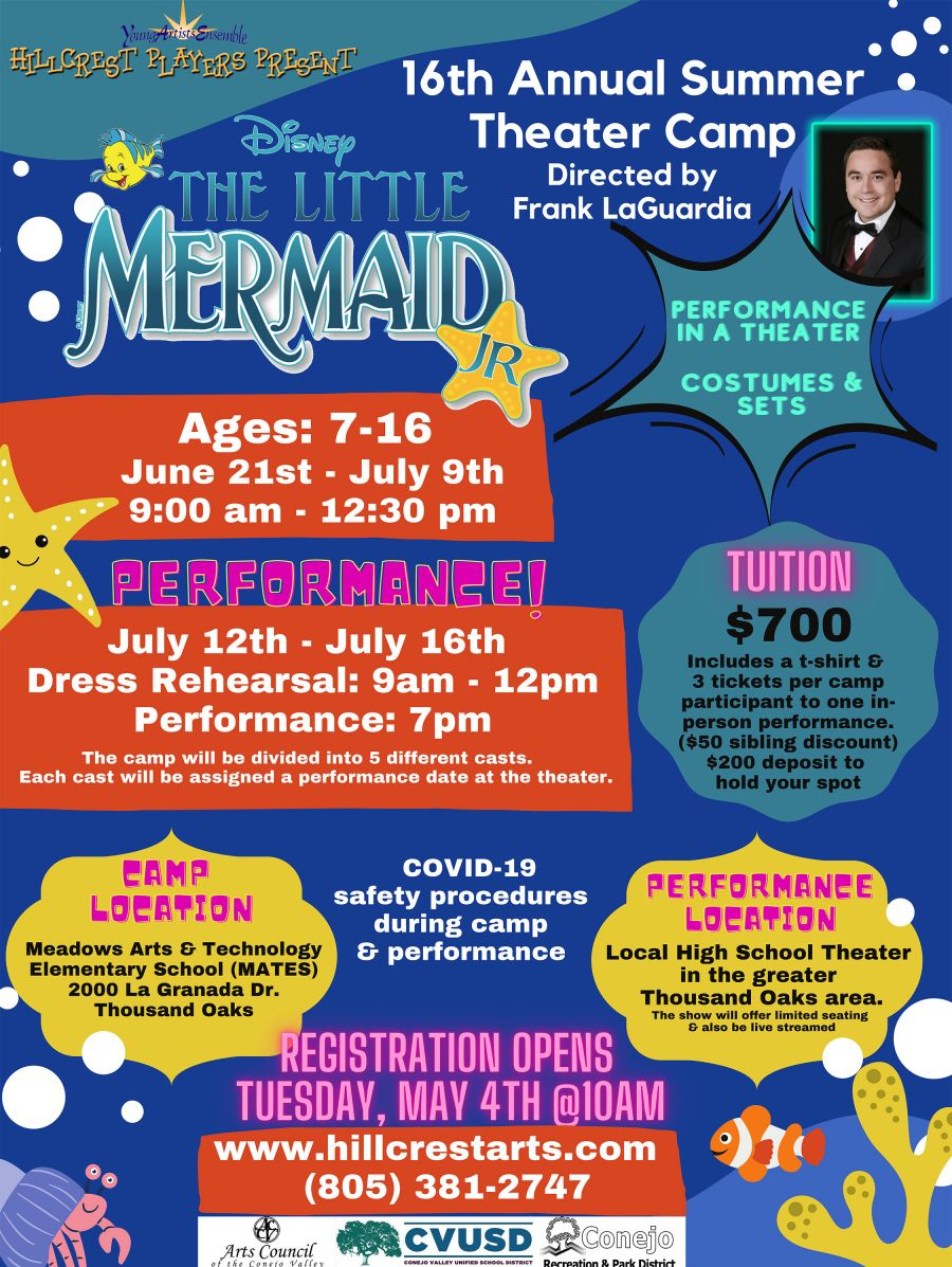 Mermaid-Summer-Camp flyer